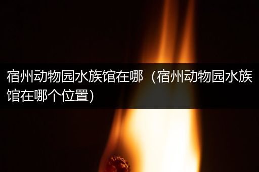 宿州动物园水族馆在哪（宿州动物园水族馆在哪个位置）
