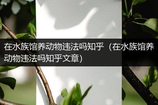 在水族馆养动物违法吗知乎（在水族馆养动物违法吗知乎文章）