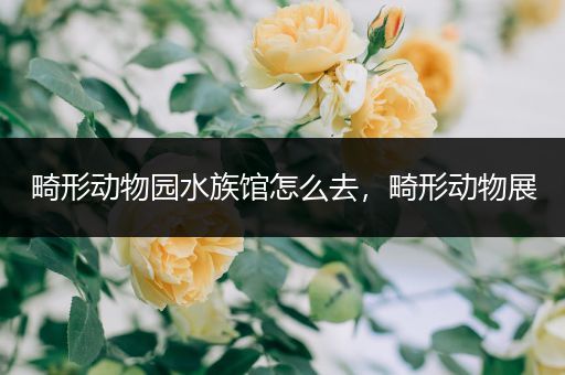 畸形动物园水族馆怎么去，畸形动物展