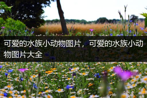 可爱的水族小动物图片，可爱的水族小动物图片大全