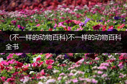 （不一样的动物百科)不一样的动物百科全书