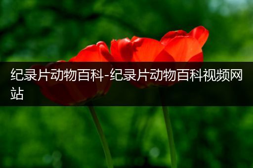 纪录片动物百科-纪录片动物百科视频网站