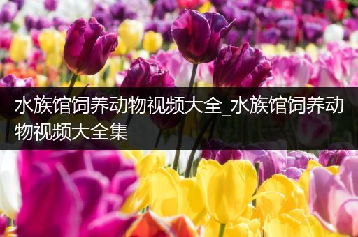 水族馆饲养动物视频大全_水族馆饲养动物视频大全集