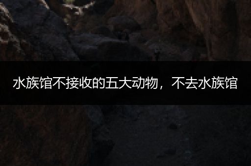 水族馆不接收的五大动物，不去水族馆
