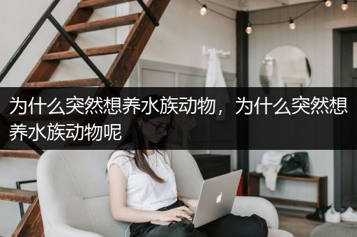 为什么突然想养水族动物，为什么突然想养水族动物呢
