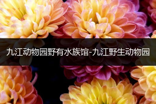 九江动物园野有水族馆-九江野生动物园