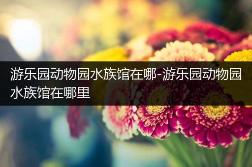 游乐园动物园水族馆在哪-游乐园动物园水族馆在哪里