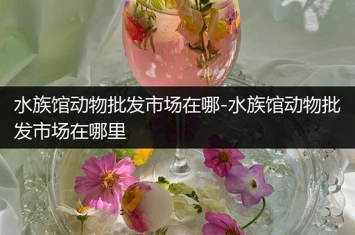 水族馆动物批发市场在哪-水族馆动物批发市场在哪里