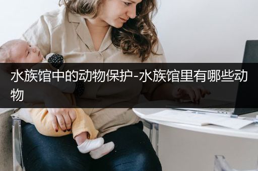 水族馆中的动物保护-水族馆里有哪些动物