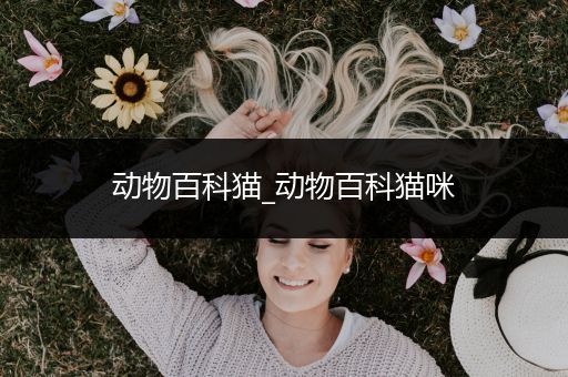 动物百科猫_动物百科猫咪