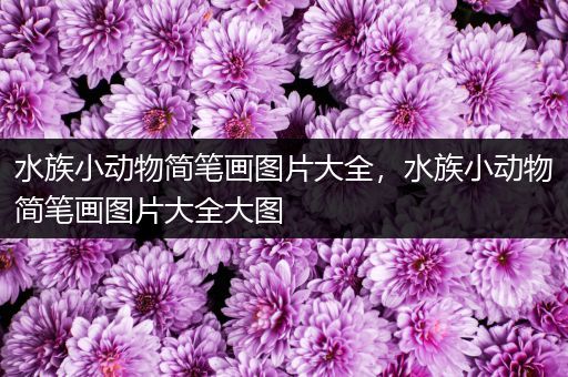 水族小动物简笔画图片大全，水族小动物简笔画图片大全大图