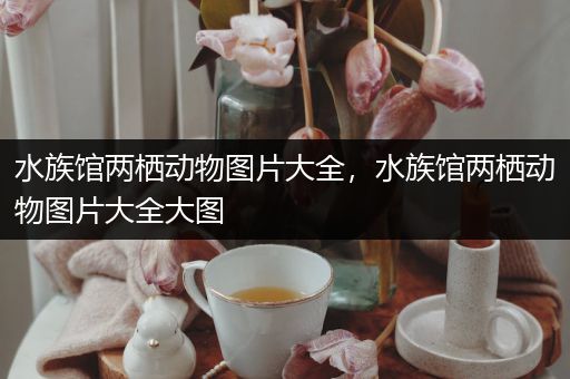 水族馆两栖动物图片大全，水族馆两栖动物图片大全大图