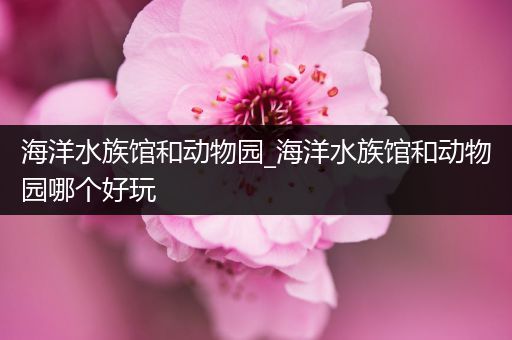 海洋水族馆和动物园_海洋水族馆和动物园哪个好玩