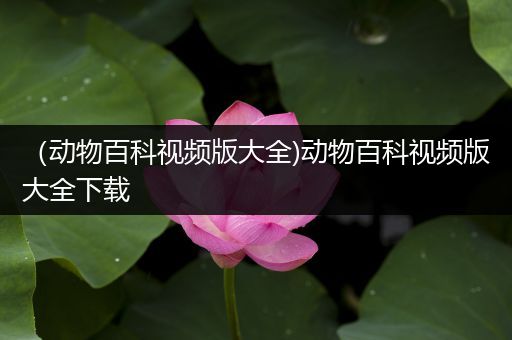 （动物百科视频版大全)动物百科视频版大全下载