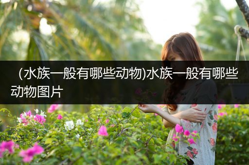 （水族一般有哪些动物)水族一般有哪些动物图片