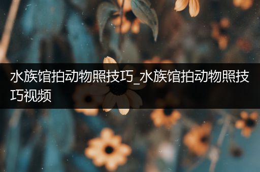 水族馆拍动物照技巧_水族馆拍动物照技巧视频