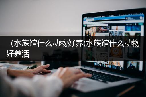 （水族馆什么动物好养)水族馆什么动物好养活
