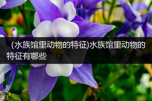 （水族馆里动物的特征)水族馆里动物的特征有哪些