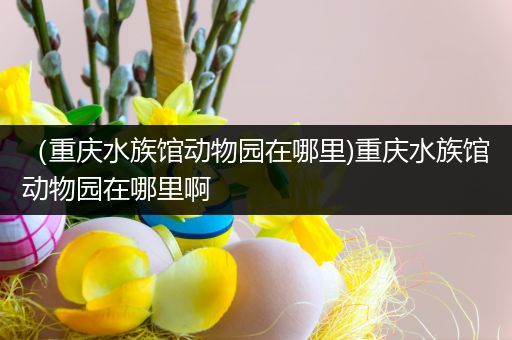 （重庆水族馆动物园在哪里)重庆水族馆动物园在哪里啊