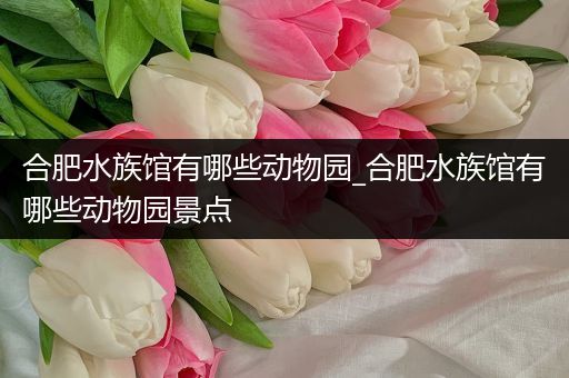 合肥水族馆有哪些动物园_合肥水族馆有哪些动物园景点