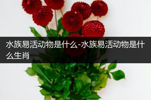 水族易活动物是什么-水族易活动物是什么生肖