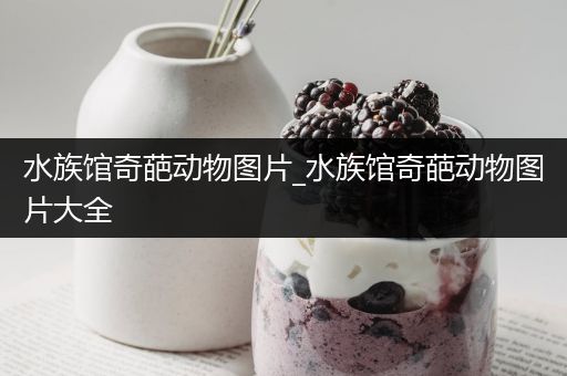 水族馆奇葩动物图片_水族馆奇葩动物图片大全