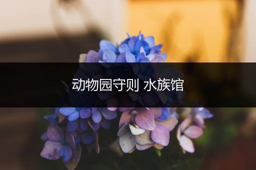 动物园守则 水族馆