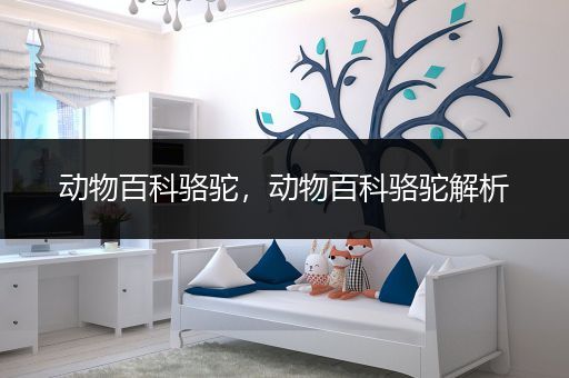 动物百科骆驼，动物百科骆驼解析
