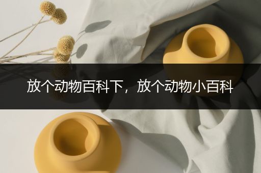 放个动物百科下，放个动物小百科