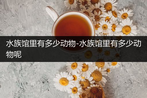 水族馆里有多少动物-水族馆里有多少动物呢