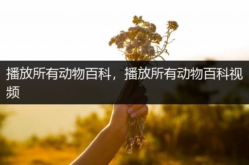 播放所有动物百科，播放所有动物百科视频