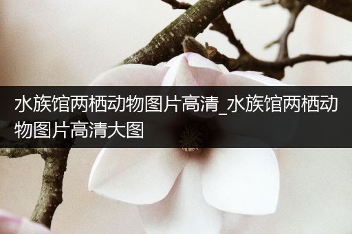 水族馆两栖动物图片高清_水族馆两栖动物图片高清大图