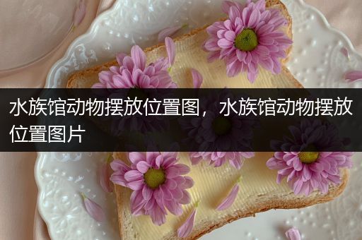 水族馆动物摆放位置图，水族馆动物摆放位置图片