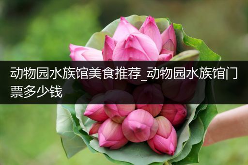动物园水族馆美食推荐_动物园水族馆门票多少钱