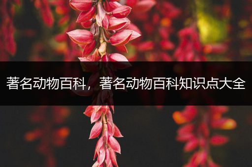 著名动物百科，著名动物百科知识点大全