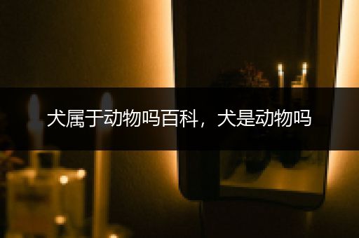犬属于动物吗百科，犬是动物吗