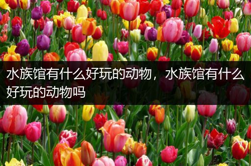 水族馆有什么好玩的动物，水族馆有什么好玩的动物吗