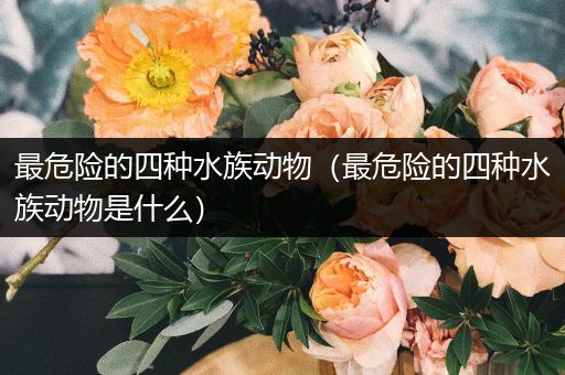 最危险的四种水族动物（最危险的四种水族动物是什么）
