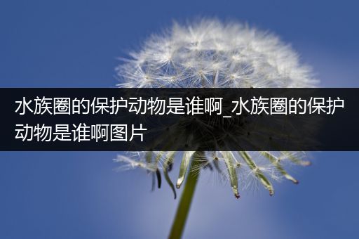水族圈的保护动物是谁啊_水族圈的保护动物是谁啊图片