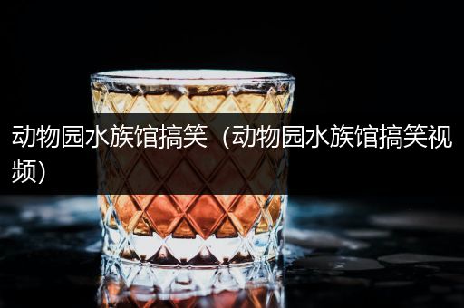 动物园水族馆搞笑（动物园水族馆搞笑视频）