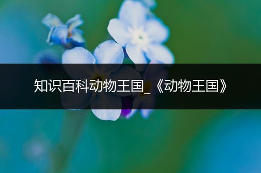 知识百科动物王国_《动物王国》