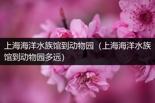 上海海洋水族馆到动物园（上海海洋水族馆到动物园多远）