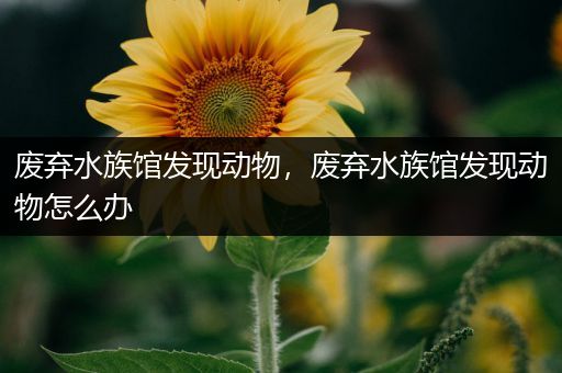 废弃水族馆发现动物，废弃水族馆发现动物怎么办