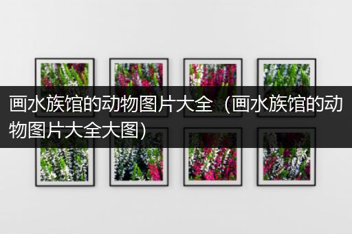 画水族馆的动物图片大全（画水族馆的动物图片大全大图）