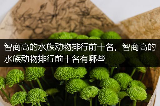 智商高的水族动物排行前十名，智商高的水族动物排行前十名有哪些