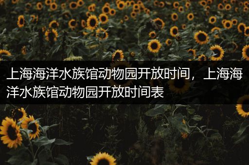 上海海洋水族馆动物园开放时间，上海海洋水族馆动物园开放时间表