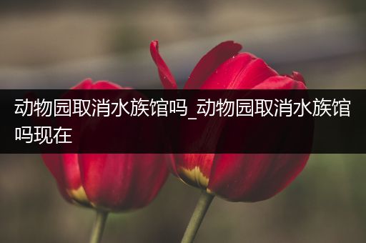 动物园取消水族馆吗_动物园取消水族馆吗现在