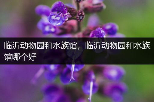 临沂动物园和水族馆，临沂动物园和水族馆哪个好