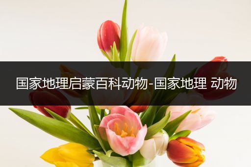 国家地理启蒙百科动物-国家地理 动物