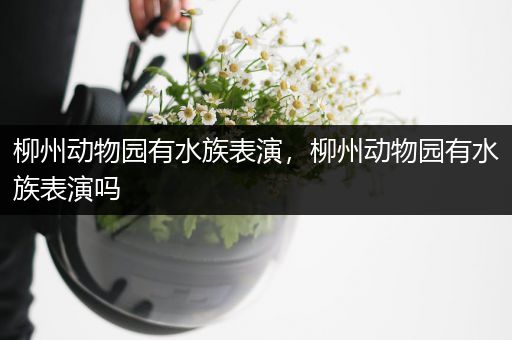 柳州动物园有水族表演，柳州动物园有水族表演吗